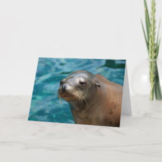 I Miss You -  Seal Greeting Card