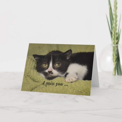 I Miss You Shy Tuxedo Kitten Card
