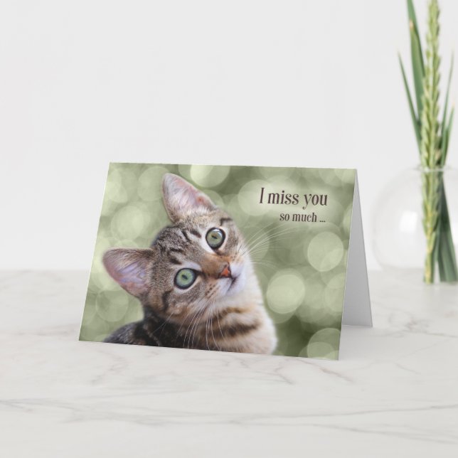 I Miss You So Much I Can't Purr Cute Tabby Kitty Card (Front)