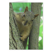 I Miss you Squirrel Photo Card (Front)