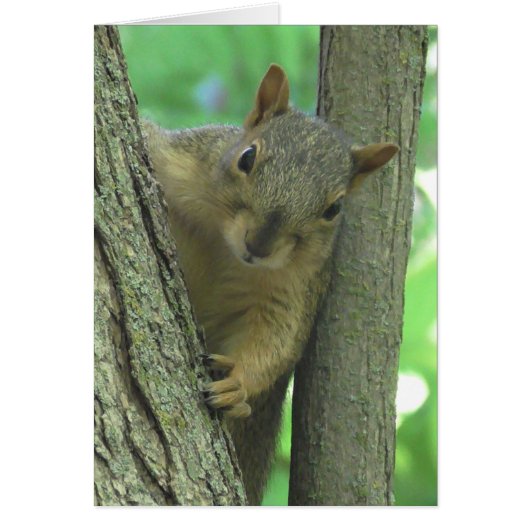 I Miss you Squirrel Photo Card (Front)