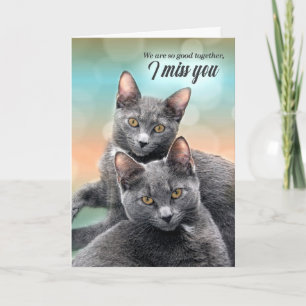 I Miss You Two Gray Cats I Miss Us Card