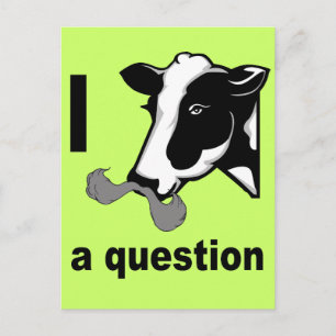 I Mustache You A Question - Cow Humor Postcard