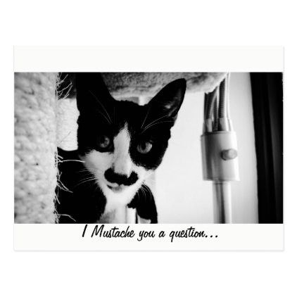 I Mustache You A Question... Postcard