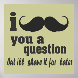 I mustache you a question poster