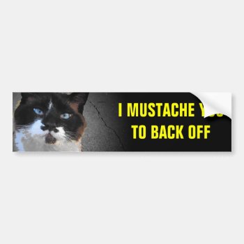 I Mustache You To Back Off Cat Bumper Sticker by talkingbumpers at Zazzle