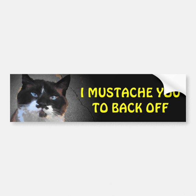 I Mustache You to Back Off (larger font) Bumper Sticker (Front)