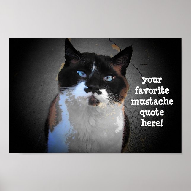 I mustache you to fill in the blank poster (Front)