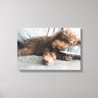 I ❤️ Naps Poodle Canvas Print