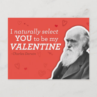 I Naturally Select You To Be My Valentine - Darwin Holiday Postcard