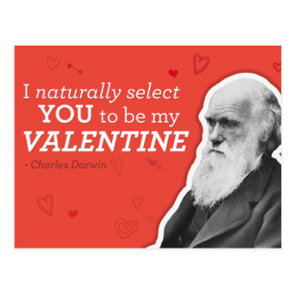 I Naturally Select You To Be My Valentine - Darwin Postcard