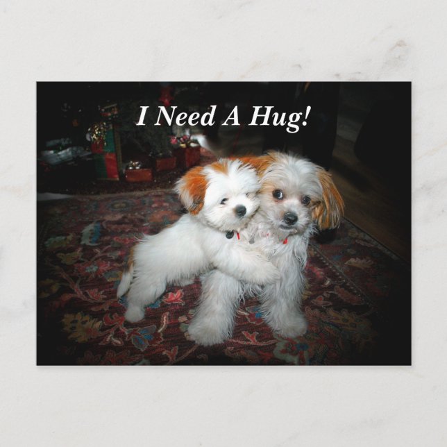 I Need A Hug! Postcard (Front)