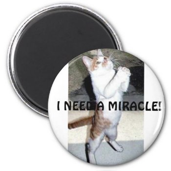 I Need A Miracle! Magnet by TrinityFarm at Zazzle