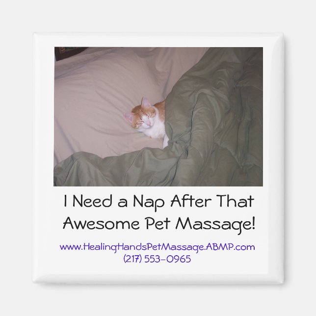 I Need a Nap After That Awesome Pet M... Magnet (Front)