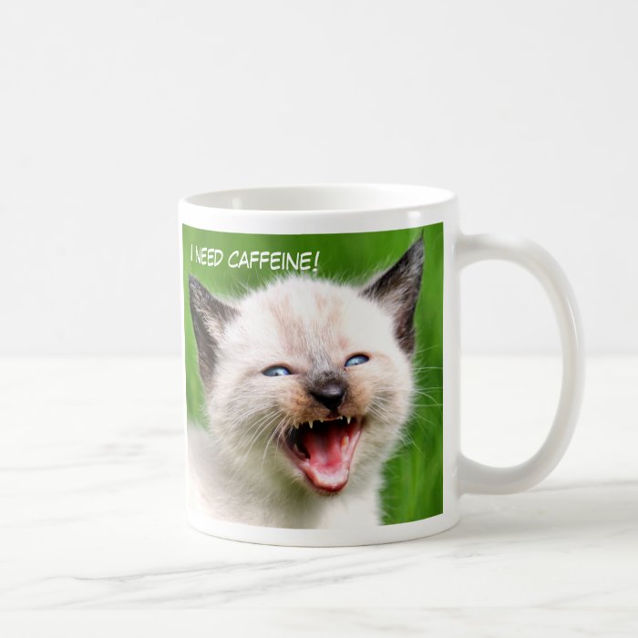 I NEED CAFFINE Funny Siamese Scary Kitten Mugs