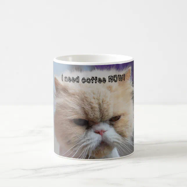 grumpy cat coffee now