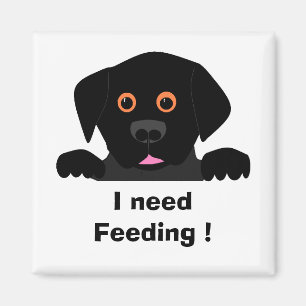 , I need Feeding ! Magnet