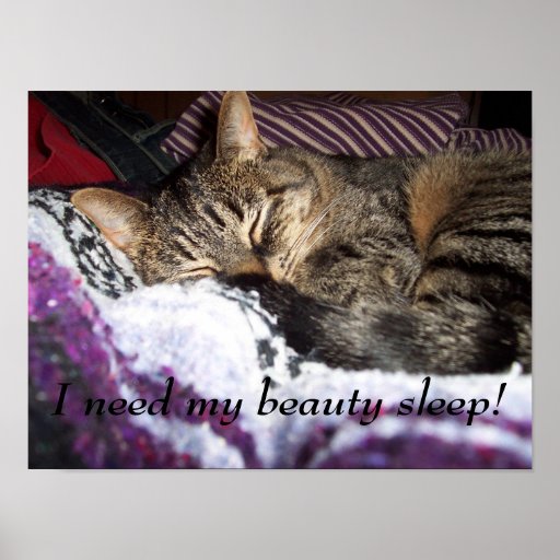 I need my beauty sleep! poster | Zazzle