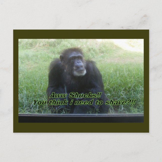 I need to shave?? postcard (Front)