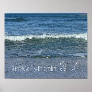 I need Vitamin SEA Poster