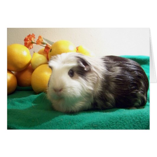 I need you more than a guinea pig needs Vitamin C (Front Horizontal)