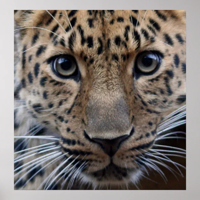 I Need You... Poster | Zazzle