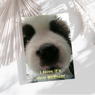 I Nose it's Your Birthday Card