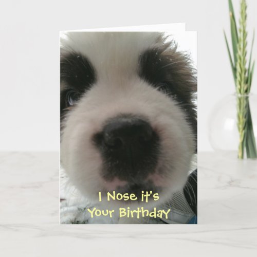 I Nose its Your Birthday Card