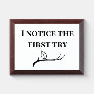 I Notice the First Try | Special Education Teacher Award Plaque