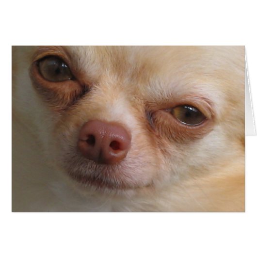 I Only Have Eyes For You (Front Horizontal)