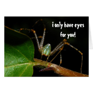 I Only Have Eyes For You