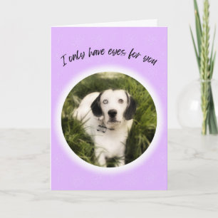I only have eyes for you cute dog Valentine Card