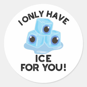 I Only Have Ice For You Funny Eye Pun  Classic Round Sticker