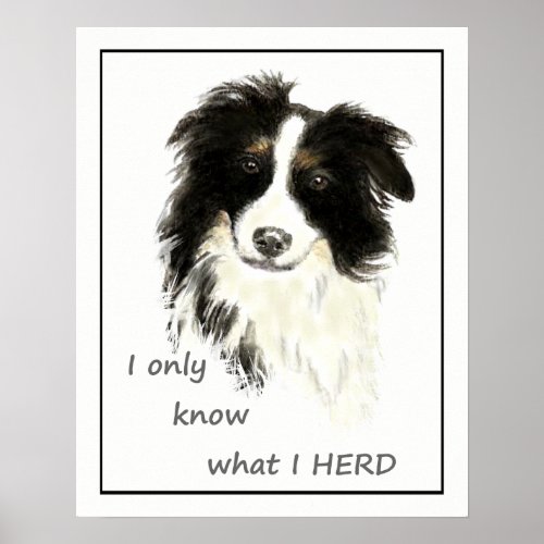 I only know what I HERD Border Collie quote Poster