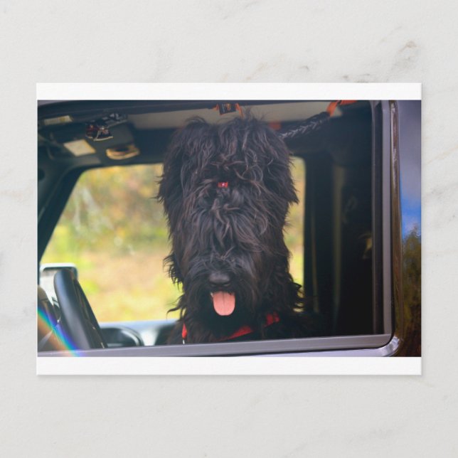 I own this jeep postcard (Front)