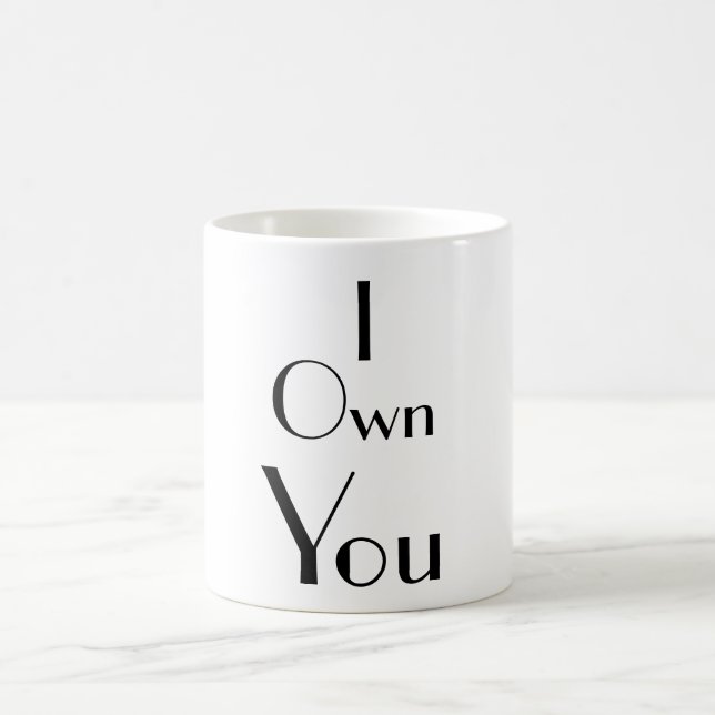 I Own You Funny Sayings Typography Coffee Mug (Center)