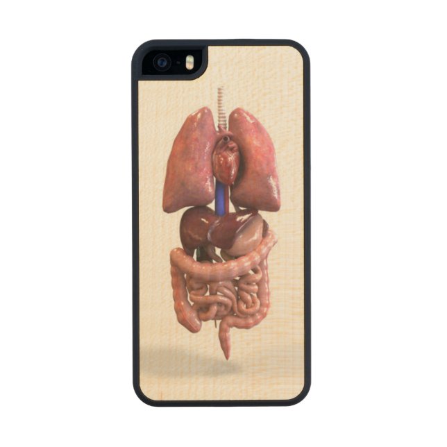I-Phone 5/5s case from AOM (ORGANS) (Back)