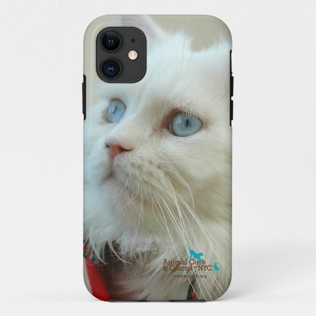 I-phone 5 case "Walter the cat" (Back)