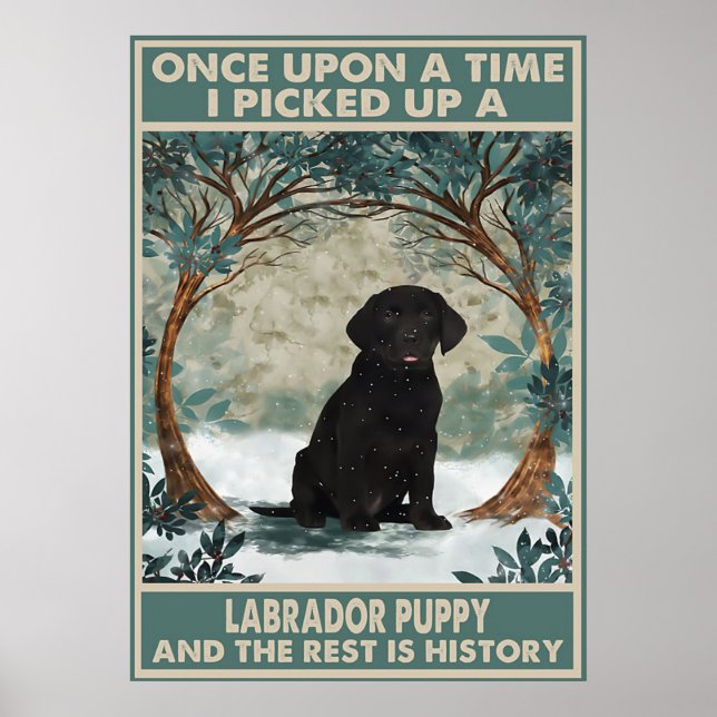 I picked up a labrador puppy poster (Front)