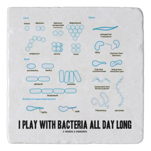 I Play With Bacteria All Day Long Microbiology Trivet