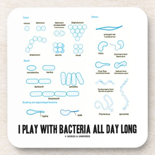 I Play With Bacteria All Day Long Morphology Coaster