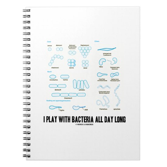 I Play With Bacteria All Day Long (Morphology) Notebook