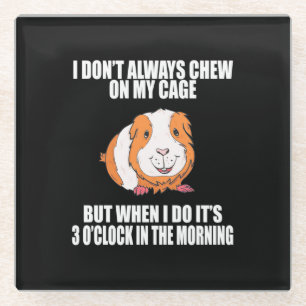 I Play With Guine Pig In The Morning Glass Coaster
