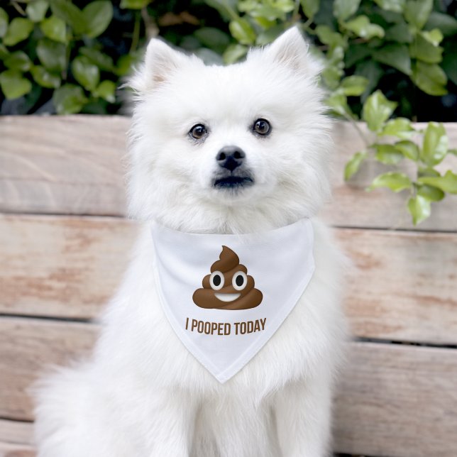 I Pooped Today Poo Emoji  Pet Bandana Collar (Dog)