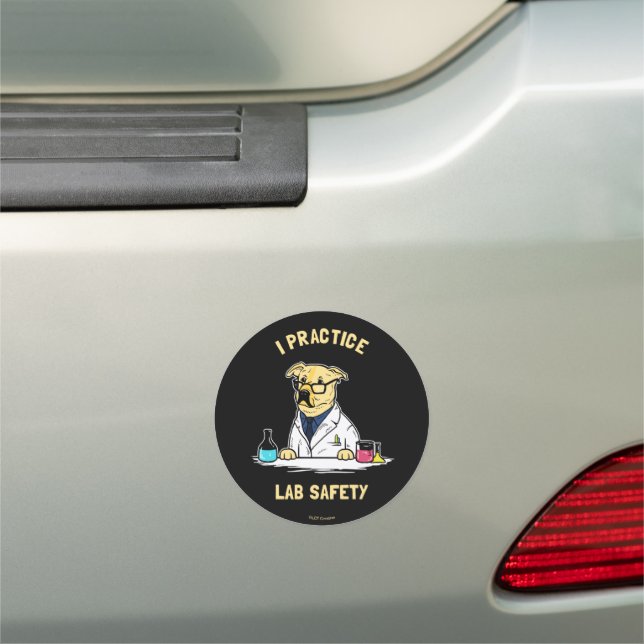 I Practice Lab Safety Car Magnet (In Situ)