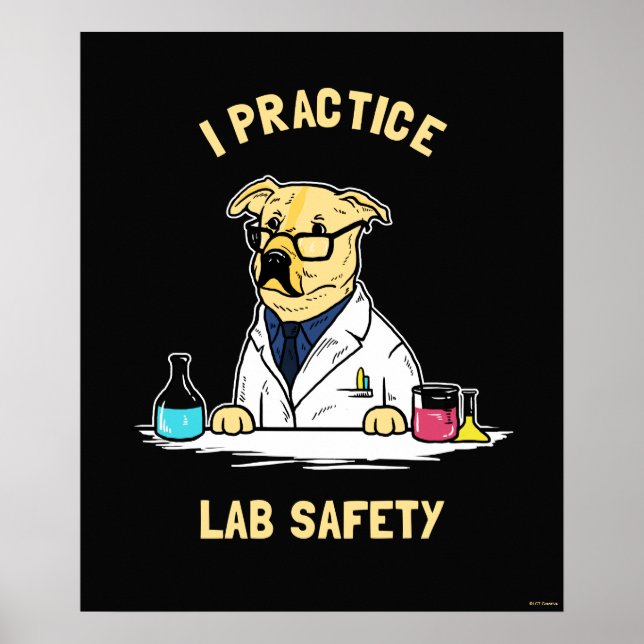 I Practice Lab Safety Poster (Front)