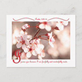 I Praise You postcard