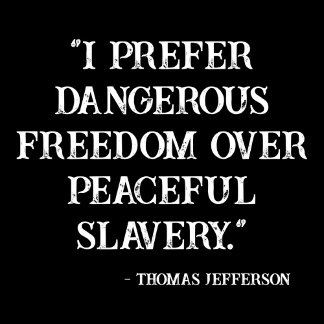 I prefer dangerous freedom over peaceful slavery sticker