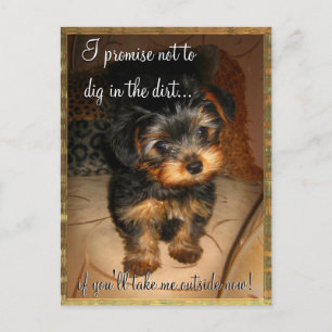 I Promise Customizable Postcard