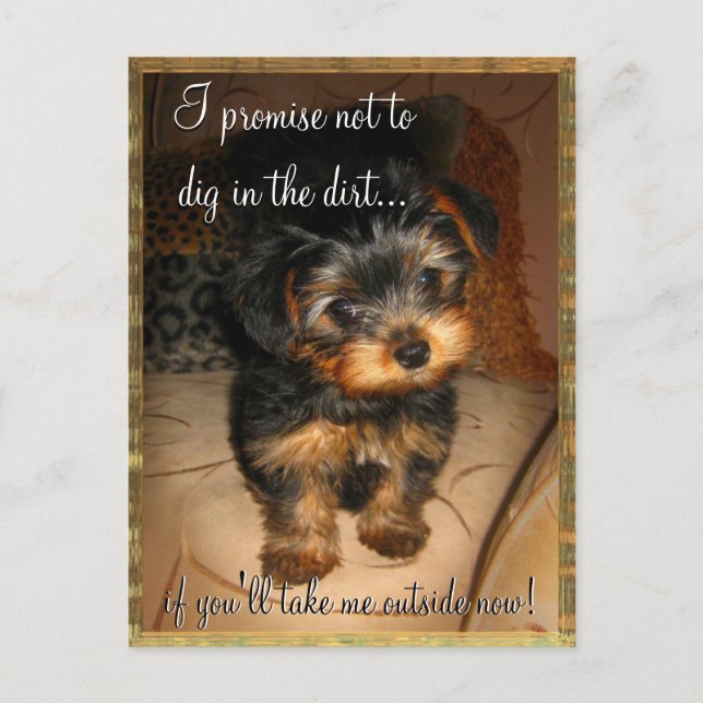 I Promise Customizable Postcard (Front)